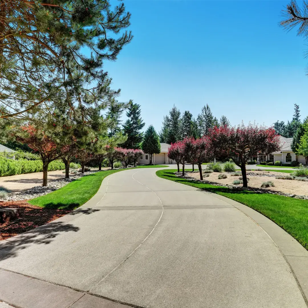 Curved concrete driveway through landscaped front yard